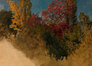 Adolf Ditscheiner - Waldstudie Bume und Strucher.webp