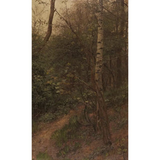 Alexander Koester - Birken am Waldrand.webp