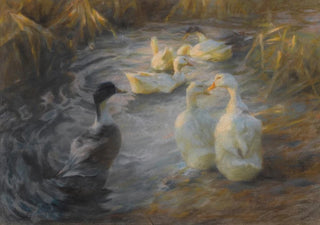 Alexander Koester - Ducks Among Reeds In A Pond.webp