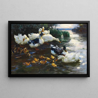 Alexander Koester - Enten mit Kken im Wasser.webp