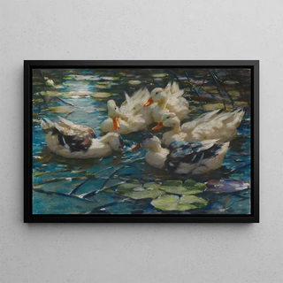 Alexander Koester - Fnf bunte Enten in blauem Seerosenwasser.webp