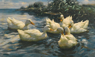 Alexander Koester - Six Ducks.webp