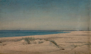 Amaldus Nielsen - Revet Jren.webp