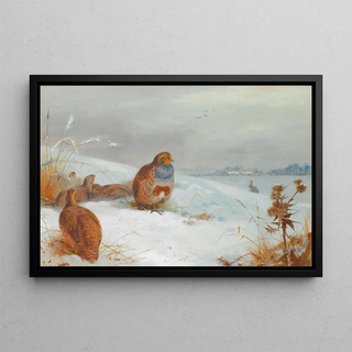 Archibald Thorburn - Hard Times Partridges And A Hare.webp