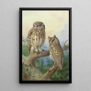Archibald Thorburn - Little Owl And Scops Owl.webp