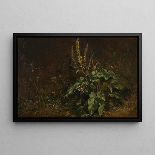 Carl Spitzweg - Stauden Knigskerzen und Grser.webp