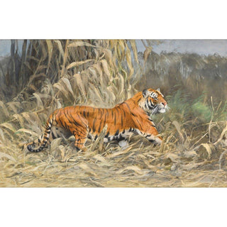 Dans la jungle Tigre - Wilhelm Kuhnert | Reproduction Tableau Décoration murale affiche copie