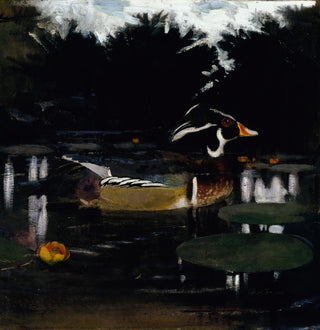 Étude de canard colvert mâle dans un étang forestier pour le livre Camouflage dans le royaume animal - Abbott Handerson Thayer