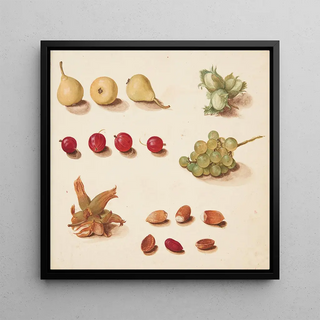 Étude de fruits, br et ndder - Johanna Fosie