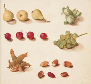 Étude de fruits, br et ndder - Johanna Fosie