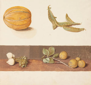 Étude de fruits et légumes - Johanna Fosie