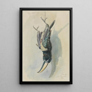 Ferdinand Keller - Studie eines Tukans Pfefferfresser.webp