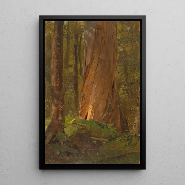 Studio nel bosco del Maine - Frederic Edwin Church — quadro incorniciato alla parete