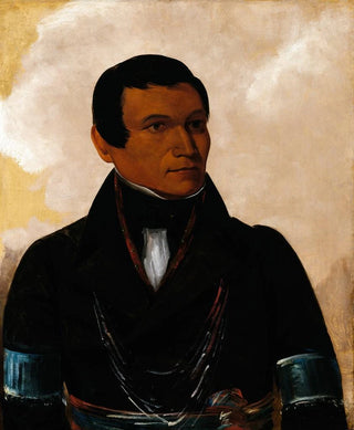 George Catlin - CSick Son of The Chief.webp