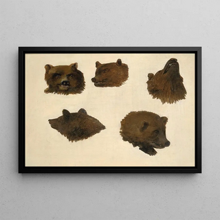 George Catlin - Portraits of Two Grizzly Bears From Life.webp