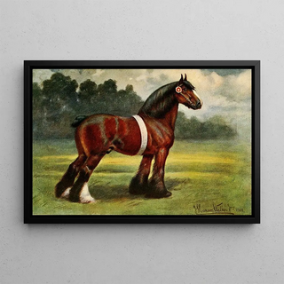 John Hanson Walker Jr - Shire Stallion Halstead Royal Duke.webp