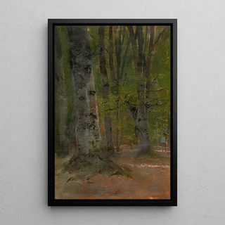 Ladislav Mednynszky - Study of Forest Interior.webp