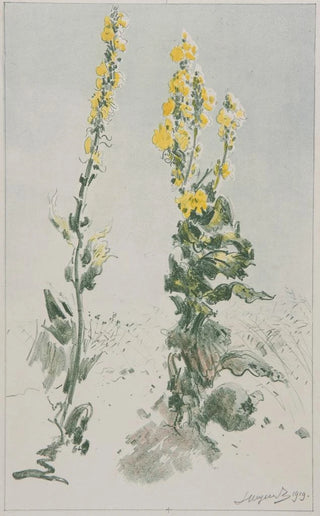 Leon Wyczkowski - Dziewanny.webp