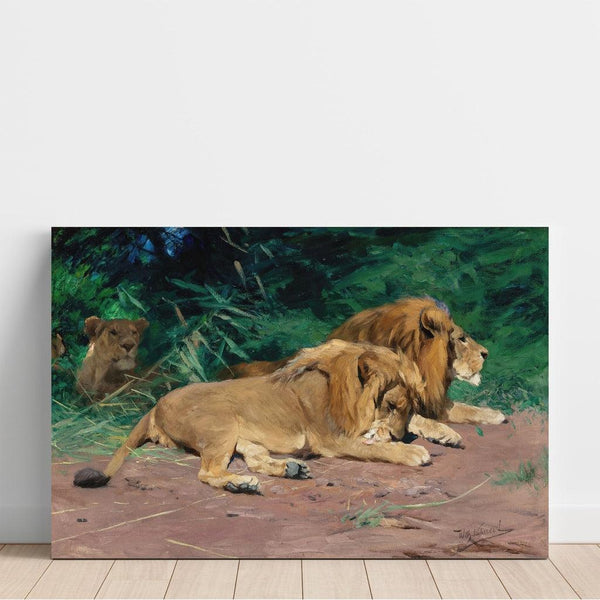 Riproduzione del dipinto Lions au repos - Wilhelm Kuhnert