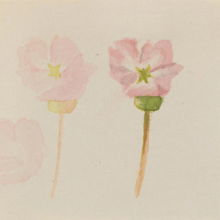 Ma Première Peinture - Mary Vaux Walcott