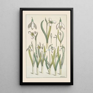 Maurice Pillard Verneuil - Perceneige.webp