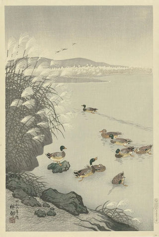 Ohara Koson - Ducks in the water.webp