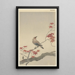 Ohara Koson - Japanese waxwing on maple.webp