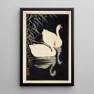 Ohara Koson - White Chinese Geese Swimming By Reeds.webp