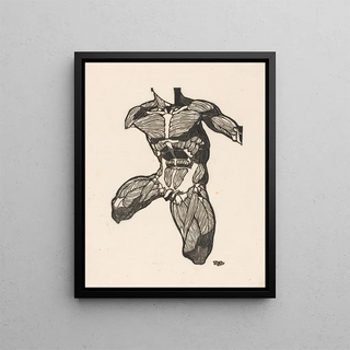 Reijer Stolk - Anatomical study of the neck abdominal and thigh muscles of a man.webp