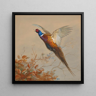Un faisan coq en vol - Archibald Thorburn