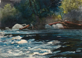 Winslow Homer - The Rapids Hudson River Adirondacks.webp