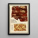 di stampe cinesi pl86 - A F Stoddard Company — quadro incorniciato alla parete