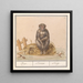 Aap Primates Aep Simius Singe - Anselmus Botius de Boodt — quadro incorniciato alla parete