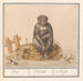 Aap Primates Aep Simius Singe - Anselmus Botius de Boodt — vista dell’opera
