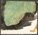 Heterocampa Biundata Walker studio per il libro Camouflage nel regno animale - Abbott Handerson Thayer — vista dell’opera