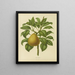 Flore hollandaise et Pomone PL28 - Abraham Jacobus Wendel — quadro incorniciato alla parete