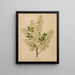 Flore olandese e Pomone PL61 - Abraham Jacobus Wendel — quadro incorniciato alla parete