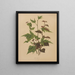 Flore olandese e Pomone PL76 - Abraham Jacobus Wendel — quadro incorniciato alla parete