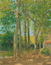 Paesaggio con grandi alberi - Achille Laugé — vista dell’opera