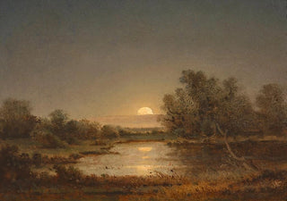 Adalbert Stifter - Die Strasserau bei Linz.webp