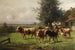gregge di mucche vicino a Dachau - Adolf Chelius — vista dell’opera