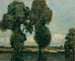 Pini argentati - Adolf Hölzel — vista dell’opera