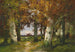 Paesaggio boschivo - Adolf Kaufmann — vista dell’opera