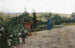 Pomeriggio alla villa - Adolfo Tommasi — vista dell’opera