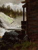 Una cascata - Adolph Tidemand — vista dell’opera