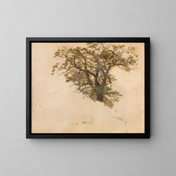 Studio di una quercia - Adolph Tidemand — quadro incorniciato alla parete