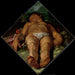 Adonis morente - Hendrick Goltzius — vista dell’opera