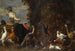 Basse-cour con pavone, tacchino e anatre - Cerchio di Adriaen van Utrecht — vista dell’opera