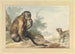Un singe seduto su una roccia che guarda una civetta - Aert Schouman — vista dell’opera