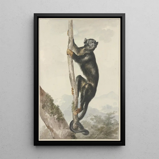 Aert Schouman - A Peruvian Spider Monkey Ateles chamek 1759.webp